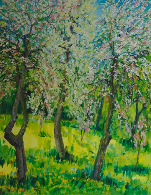 Blooming trees
