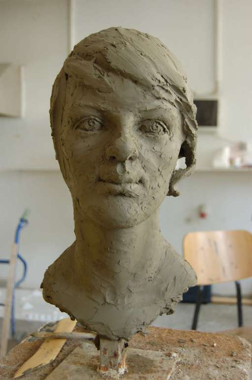 Study of head