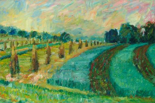 Field