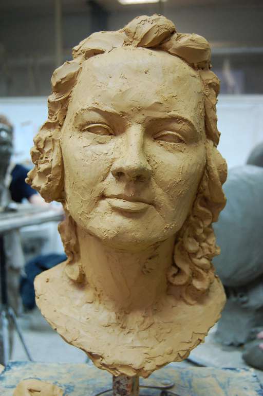 Study of head