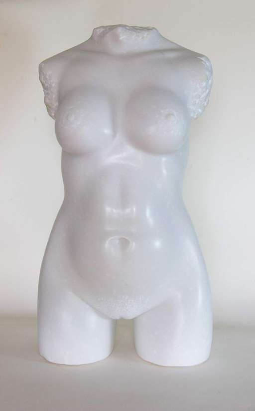 Torso