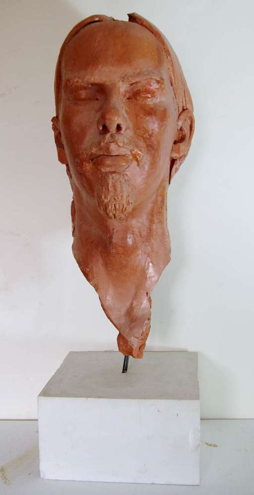 Study of head