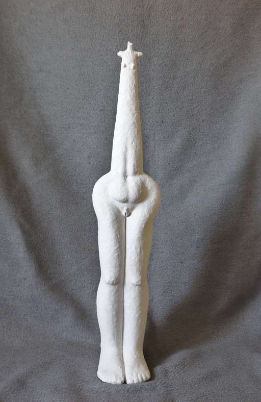 Torso