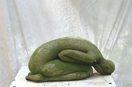 Life in clay