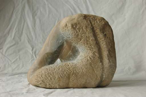 Man's torso