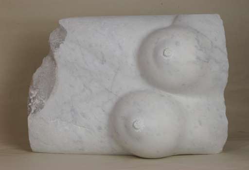 Woman's torso