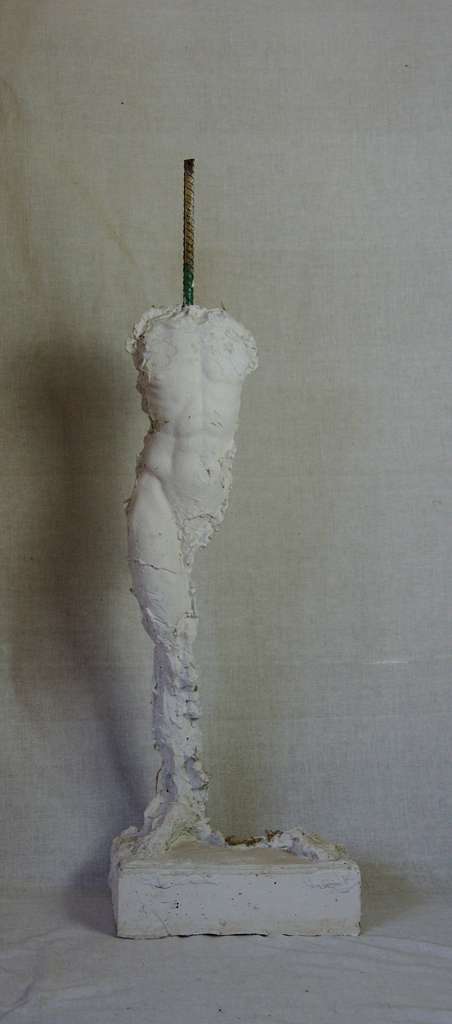 Man's torso