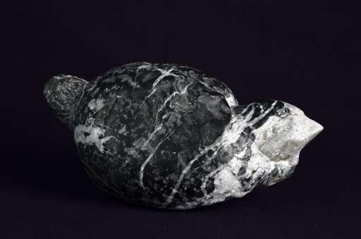 Chick