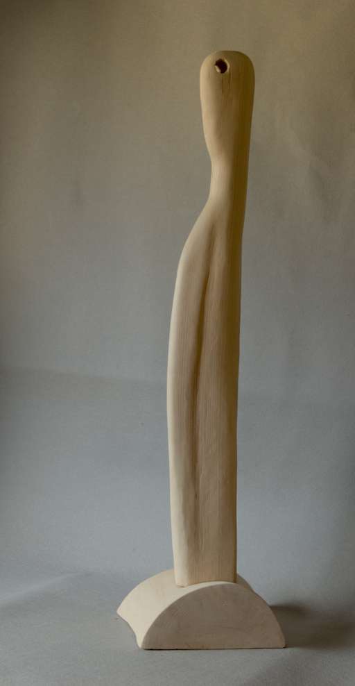 Horn carrier