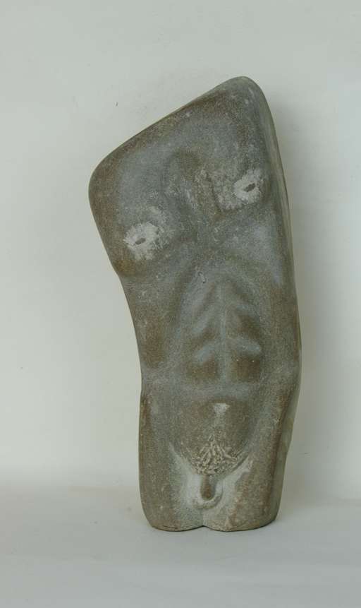 Man's torso