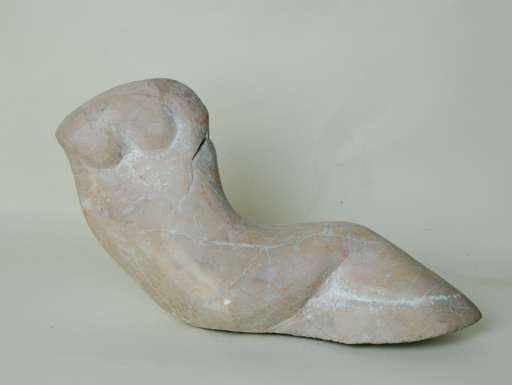 Woman's torso
