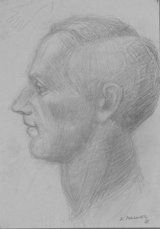 Study of portrait