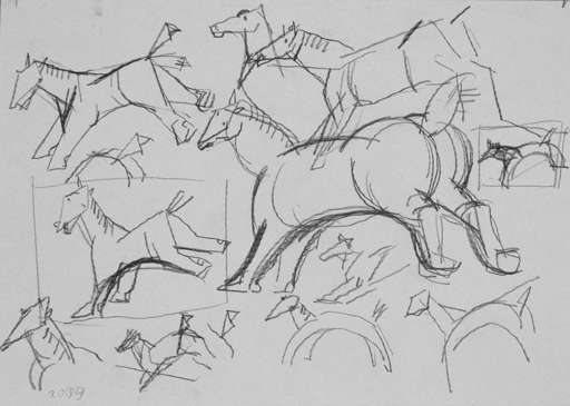 Study of horse