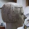 Study of head