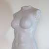 Torso