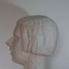 Study of head
