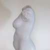 Torso