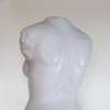 Torso