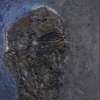 Autoportrait, between polarity and primordial particle