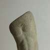 Man's torso
